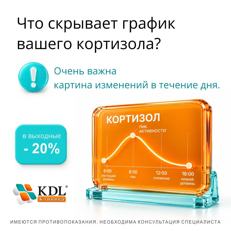 Что скрывает график вашего кортизола? 📊