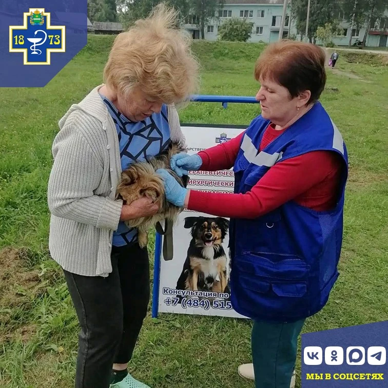 🐾 Ветеринарные будни специалистов Мещовского отдела ГБУ КО "Сухиничская межрайонная ве...