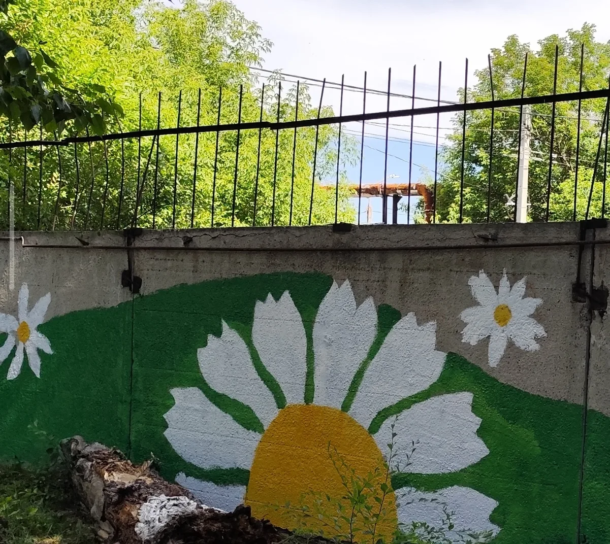 РОМАШКОВЫЙ МИКС В БУ ЦСА 
Когда «маленькие ромашки» делают большие дела.
В Бюджетном учреждении Омск