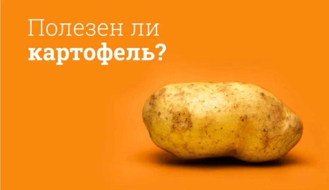 🥔 МИФ №3: Картофель — это пустые калории и крахмал