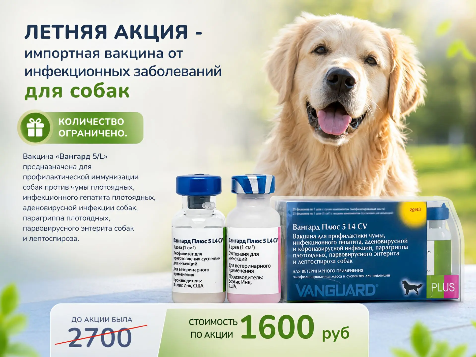 Летняя акция на вакцину для собак

В клинике «Айболит АЛМ» действует специальная стоимость на импорт
