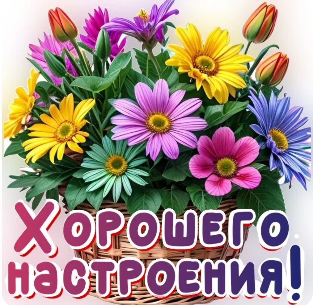#Пожелания