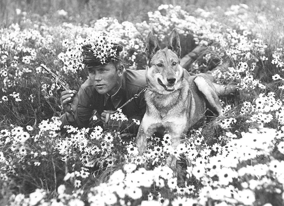 🐾Животные — герои Великой Отечественной войны!

Великую Отечественную часто называют «войной моторо