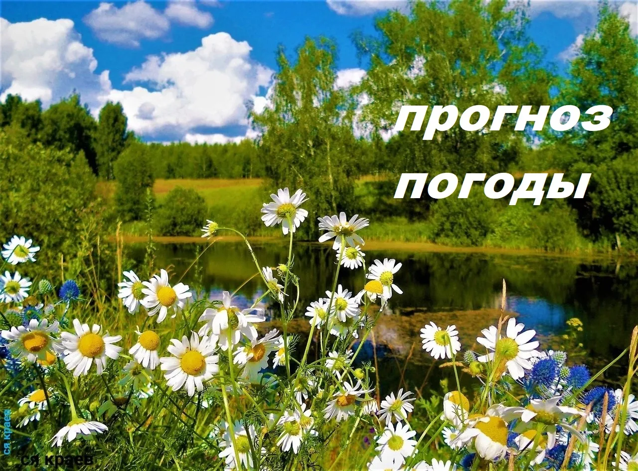 20 августа: переменная облачность, местами кратковременный дождь. Ветер юго-западный 6-...