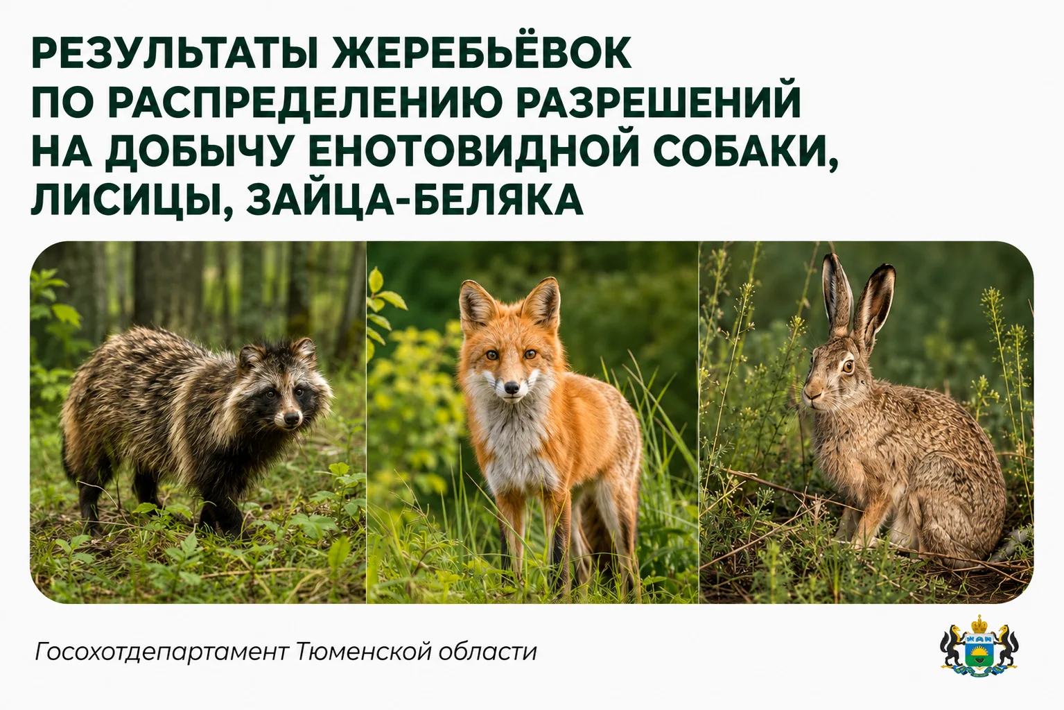 📢 Опубликованы протоколы результатов жеребьёвок по распределению разрешений на добычу ...