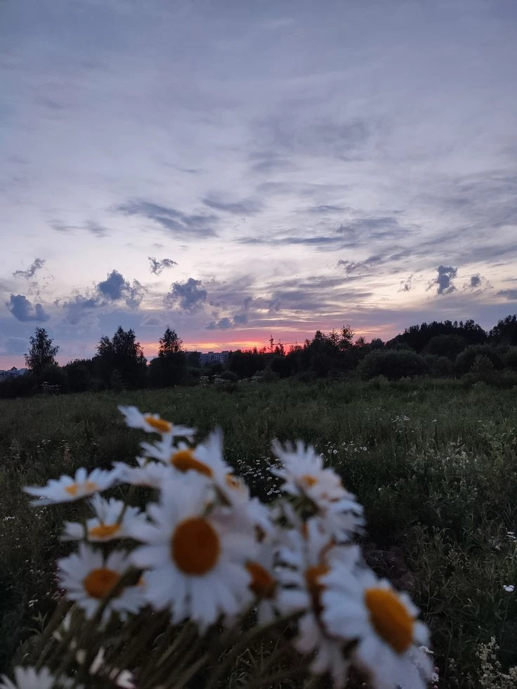 Я надеюсь, каждый