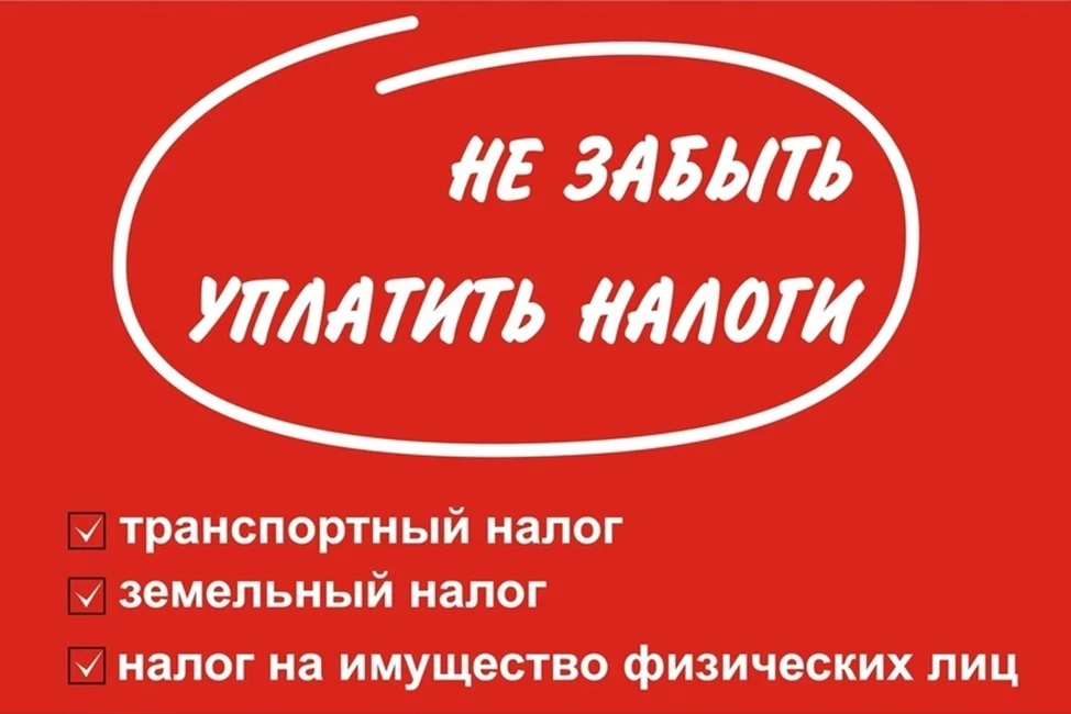 Уважаемые жители села Васильевка! Не получили квитанции о начислениях по налогам или не...