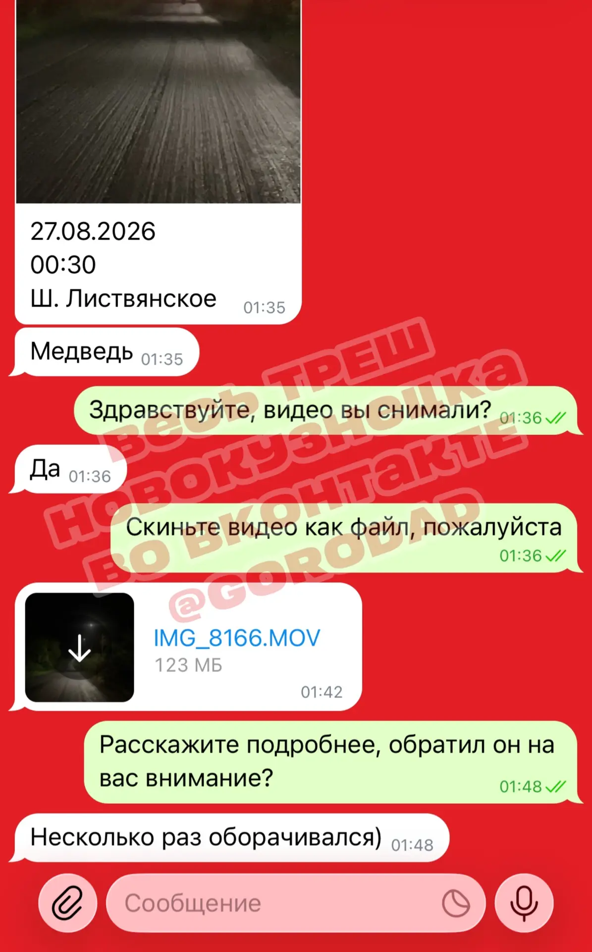 ⚠️ ШОК! СЕГОДНЯ НОЧЬЮ НА ЛИСТВЯНСКОМ ШОССЕ БЕГАЛО СУЩЕСТВО, ВИЗУАЛЬНО НАПОМИНАЮЩЕЕ МЕДВ...