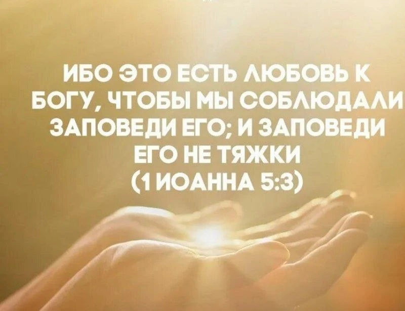 🕊🌼🕊🌼🕊🌼🕊🌼🕊