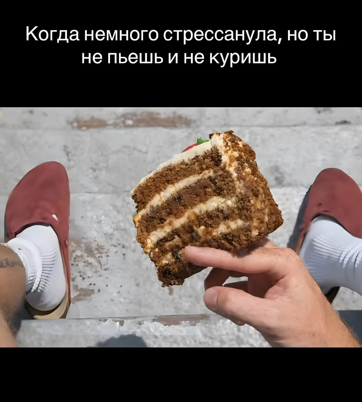 Держись наполеон 🤣
