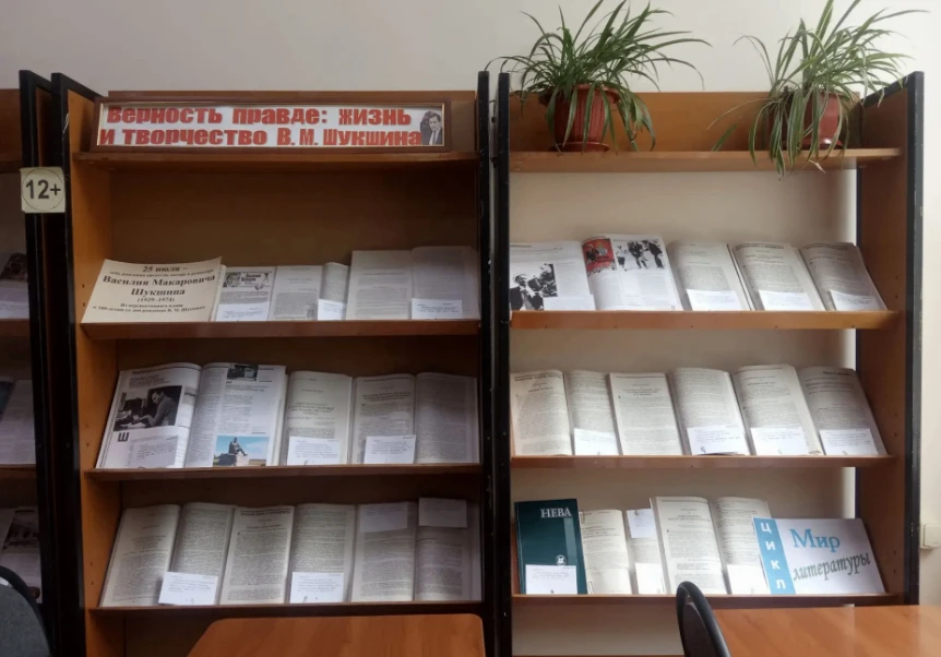 В секторе текущих периодических изданий в рамках Центра чтения и перспективного плана к 100-летию со