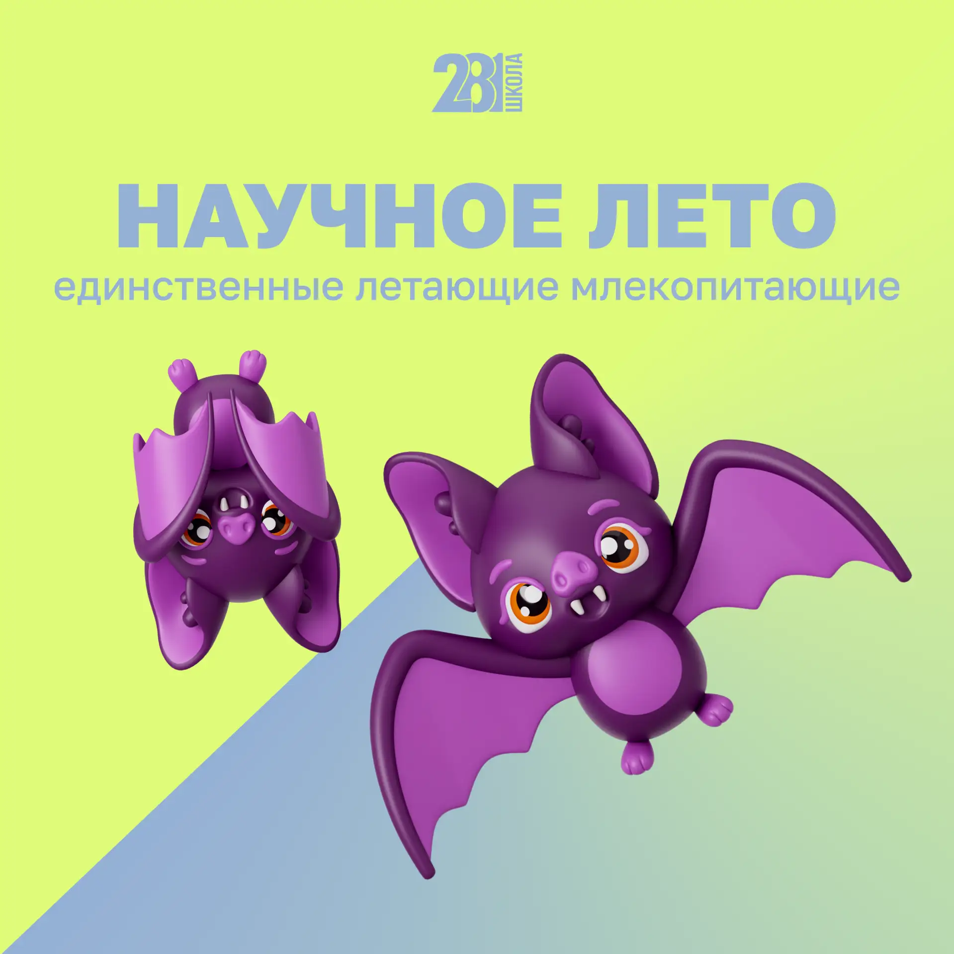 НАУЧНОЕ ЛЕТО 🔬