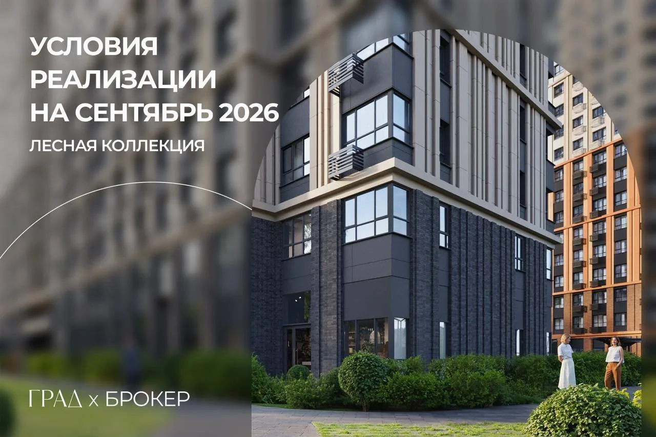 Условия реализации проекта ЛЕСНАЯ КОЛЛЕКЦИЯ в сентябре 2026
