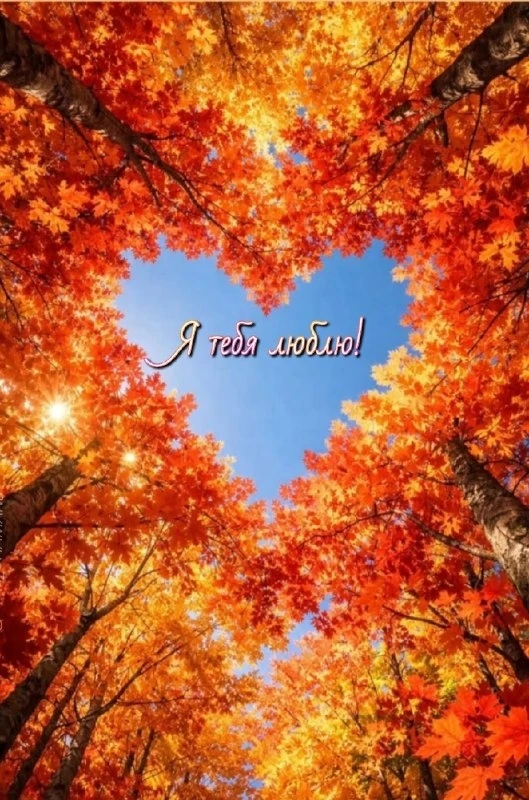 Открытки: подписаться ❤️