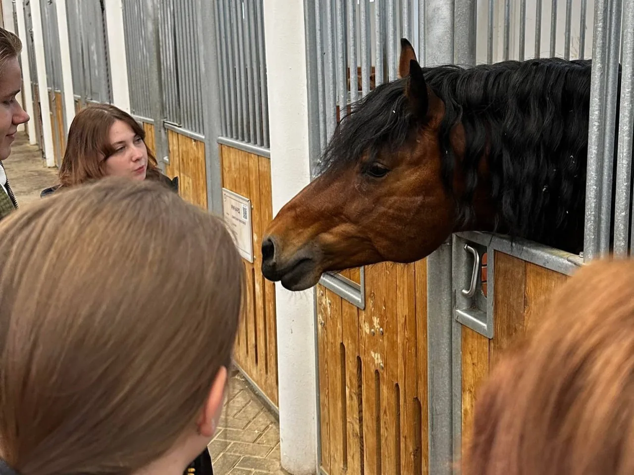 Встреча с грацией и силой 🐎  🏛 На каникулах ученики 10 и 11 профильных естественно-научных классов п