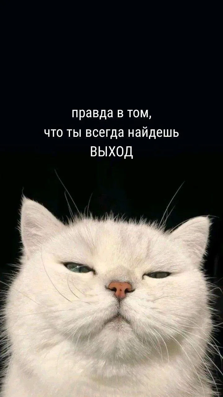 Отличного дня 💛✨