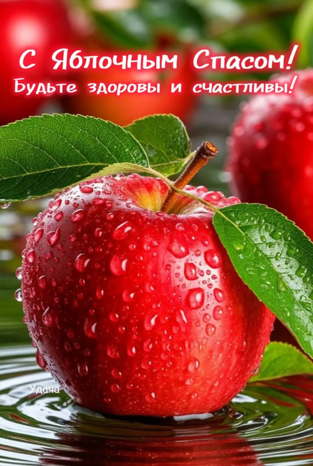 🍎 Ешьте яблоки - поддерживайте иммунитет и укрепляйте нервную систему!