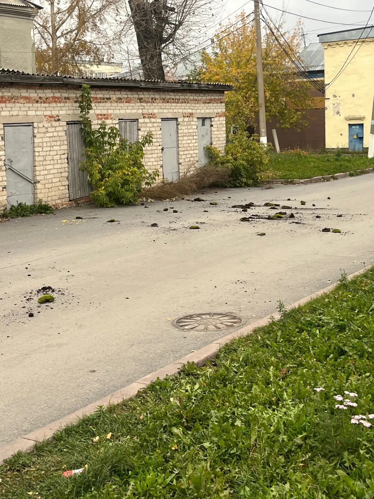 Уважаемые родители, научите своих детей вести себя адекватно. я понимаю что они дети и ...