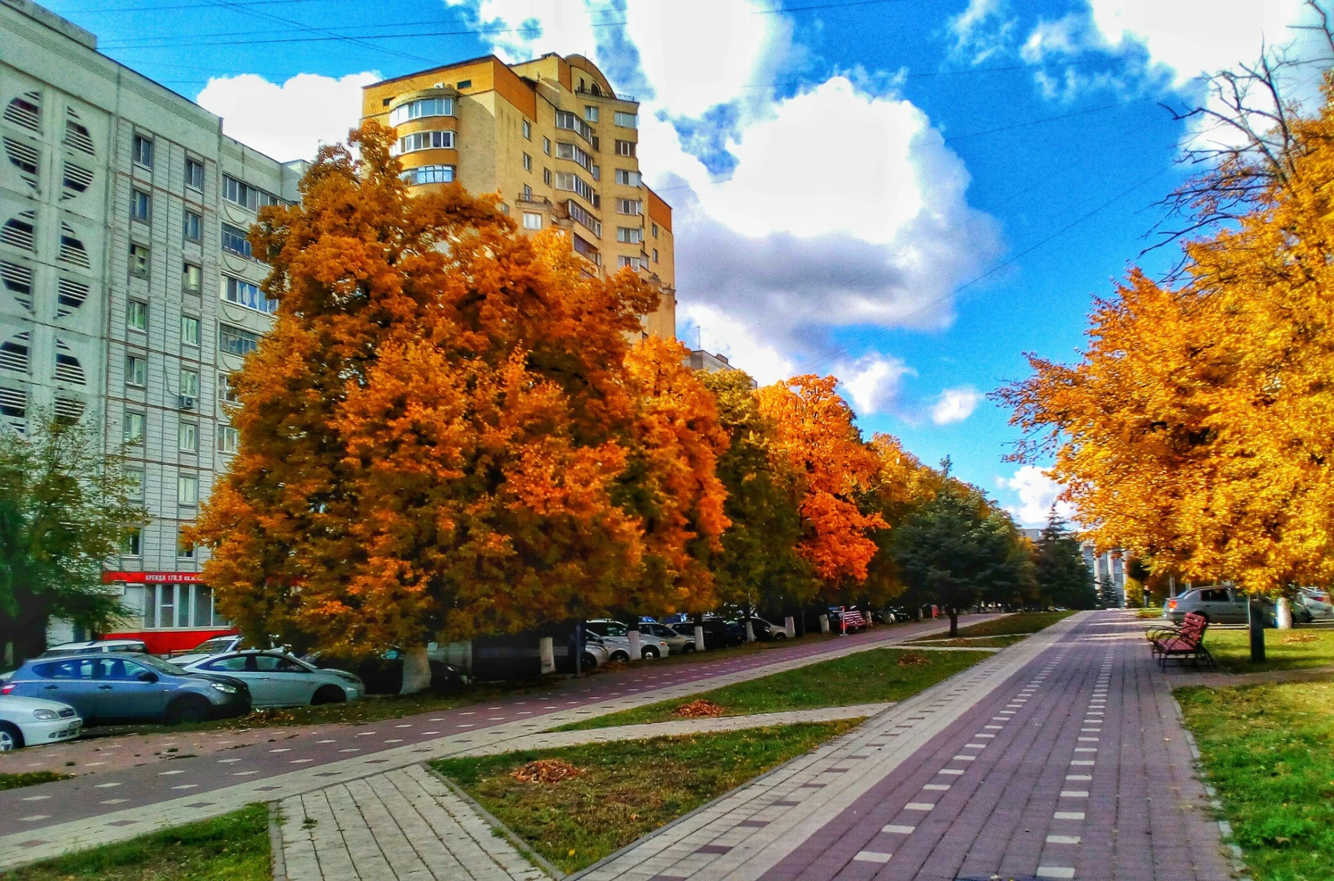 Всё-таки осень прекрасная пора 🍁