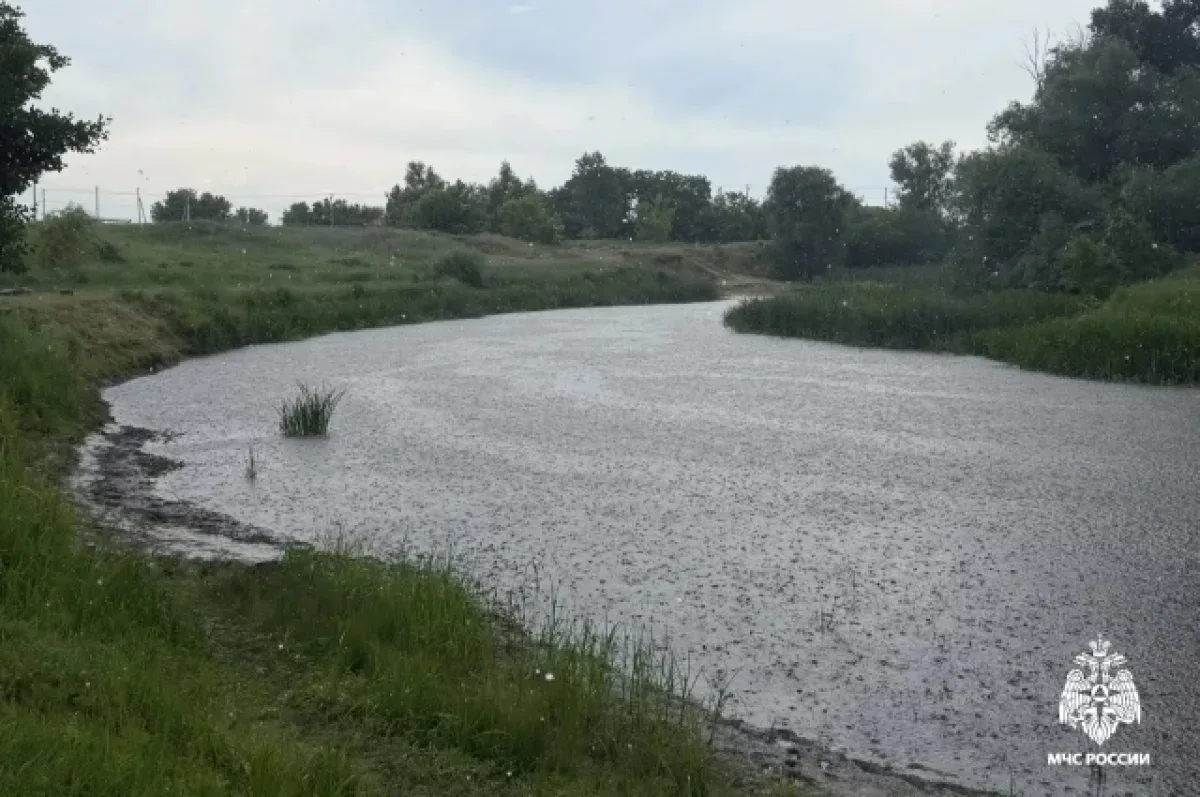 Два ребёнка утонули в реках Белгородской области. ЧП произошли 12 июня, сообщили в региональном МЧС.