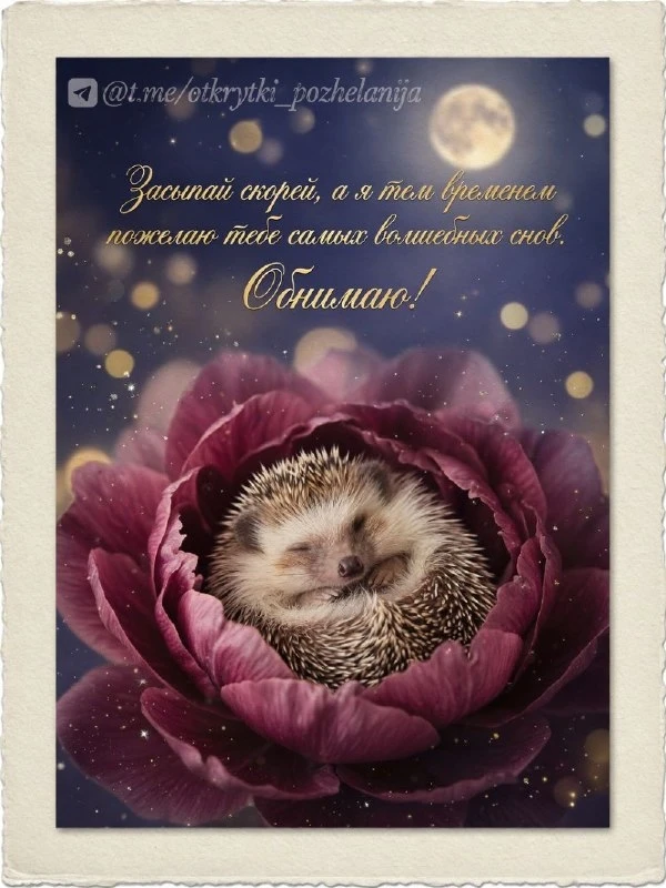 Открытки: подписаться ❤️