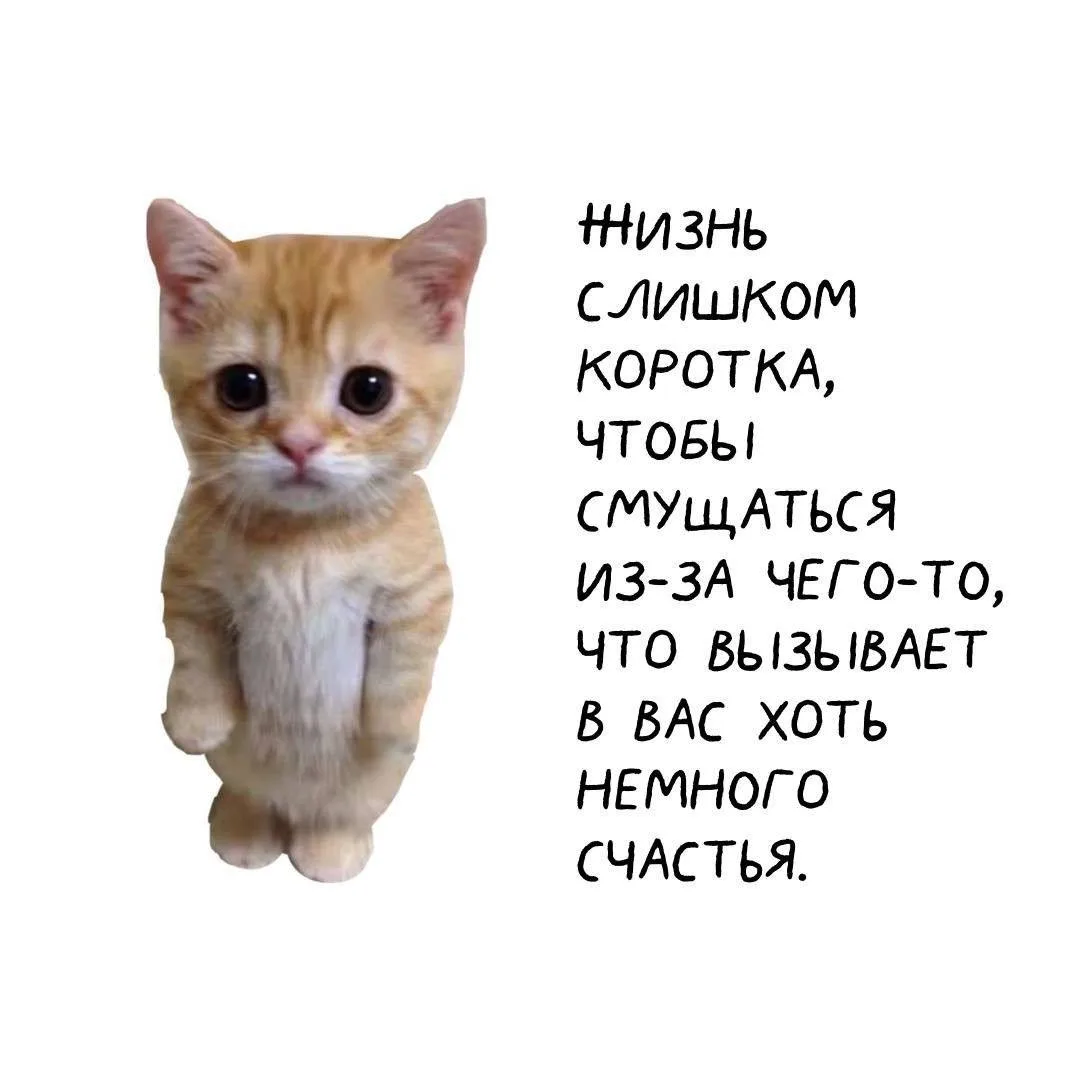 Котики пришли, чтобы напомнить о важном 🪷  👉 Сатья Дас 👉 Канал в Telegram