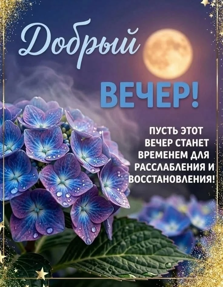 ✨#добрый_вечер