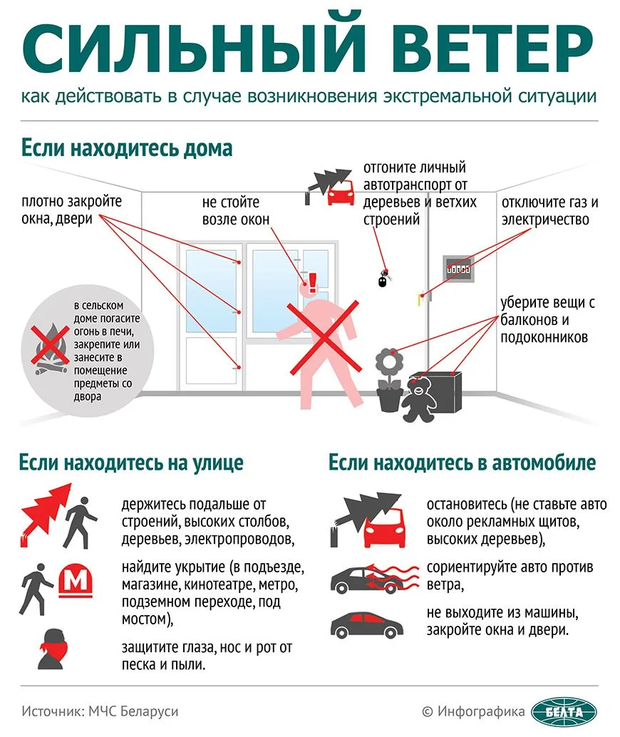 Правила поведения при сильном ветре