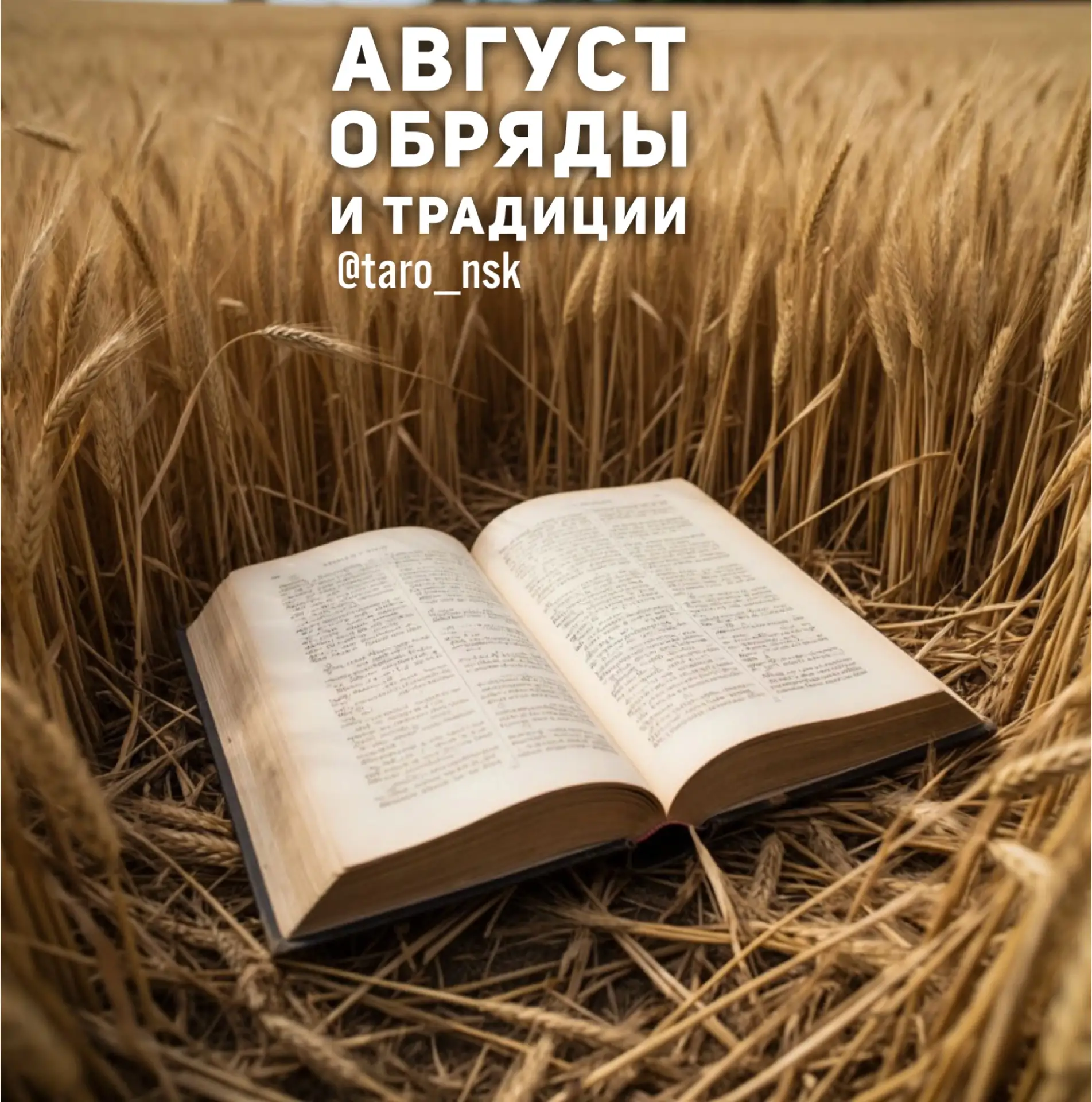 Народный календарь на август🌾