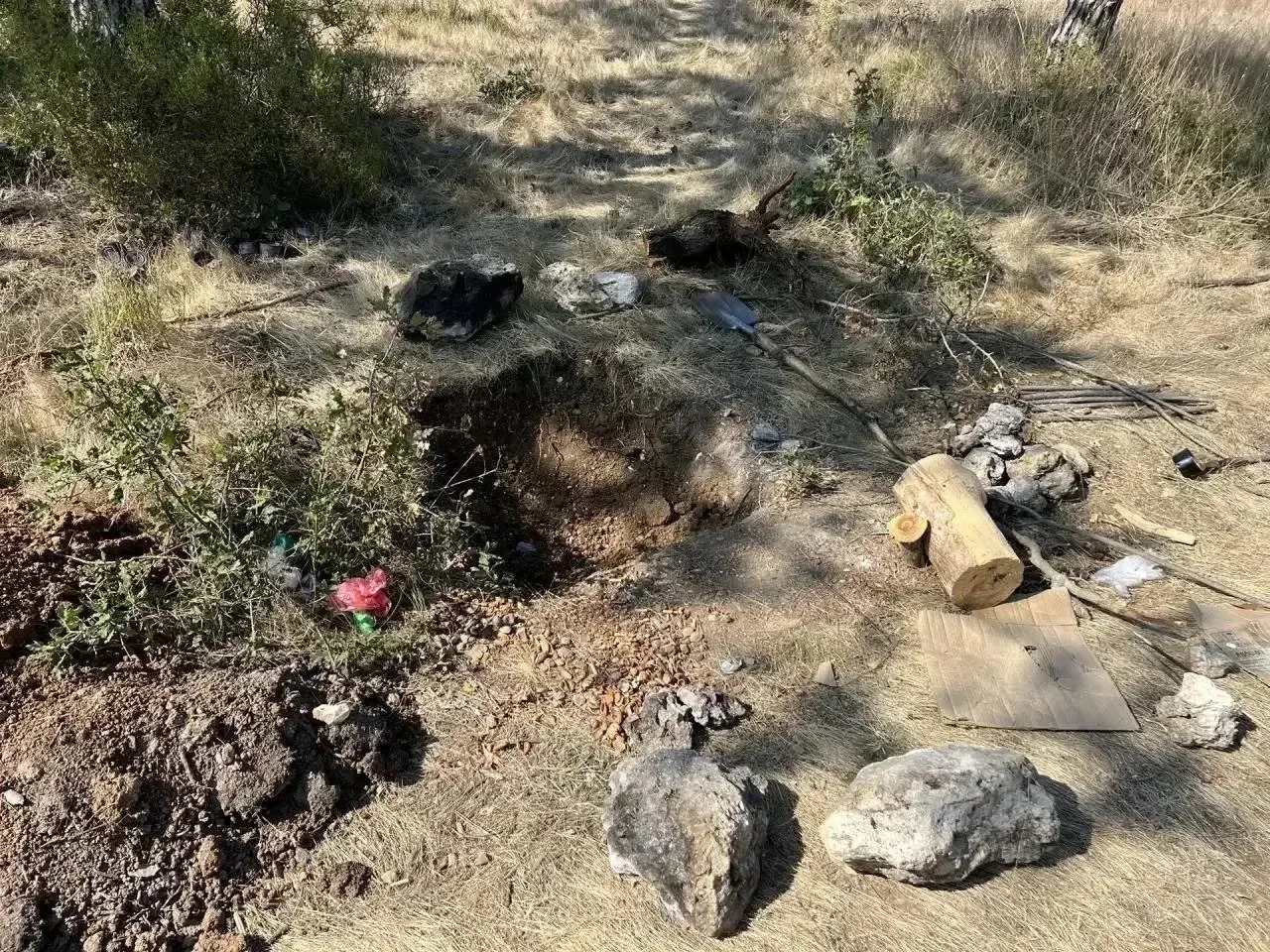 Сочинец зарубил топором севастопольца в лесу и попытался скрыть тело