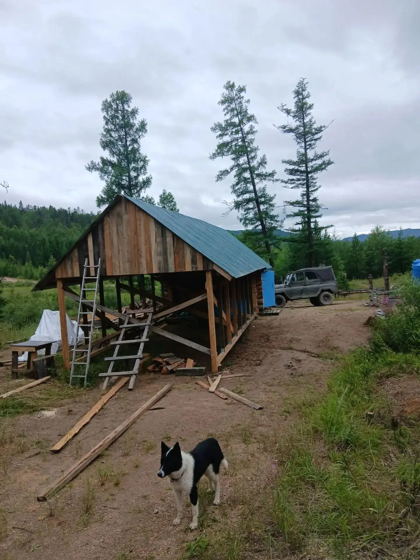 #ЗабайкальеЗаповедное

🌲В заказнике «Джилинский» продолжается строительство гаража 🚧

На сегодняшн