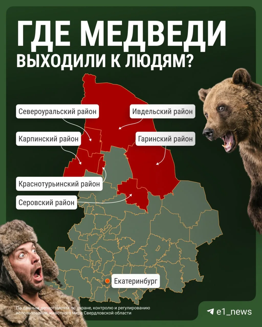 Нашествие медведей заметили в Свердловской области. Только недавно СМИ писали о том, чт...