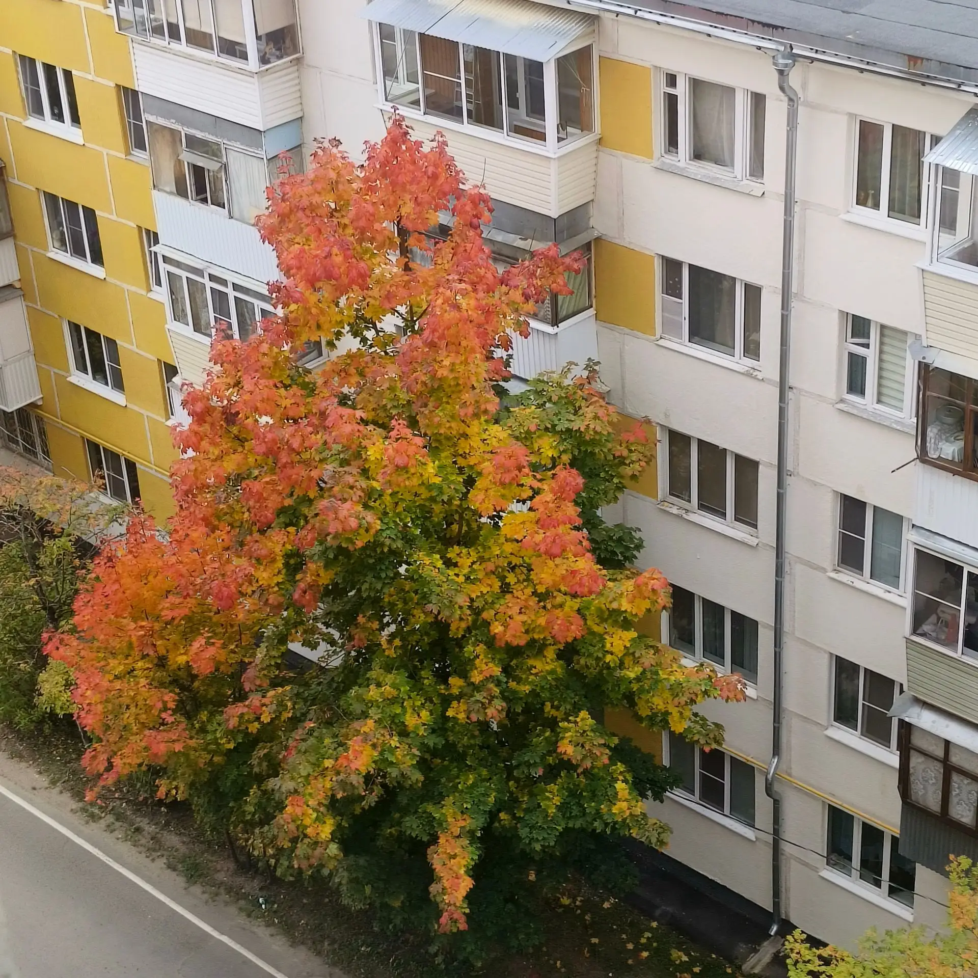 Неудобно — ещё не значит ошибочно