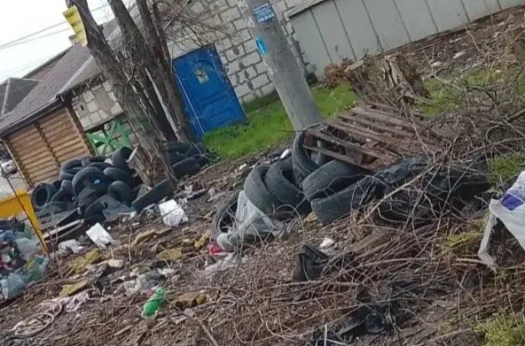 Брошенным шинам готовят депортацию из Батайска