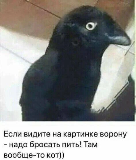 👀MAX С Юмором‼️