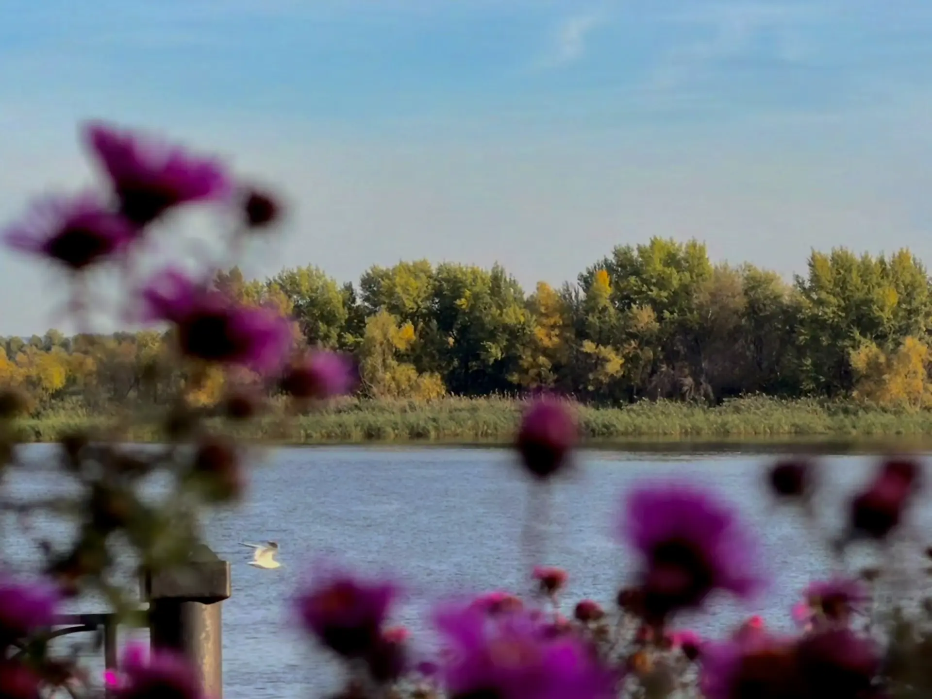 🍂В городе осень
