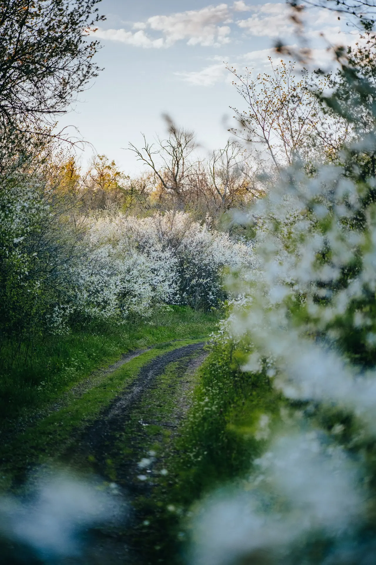 Весна. Семикаракорск.  Отличное время для прогулок 🌸🌼  💬 Главный чат Семикаракорска