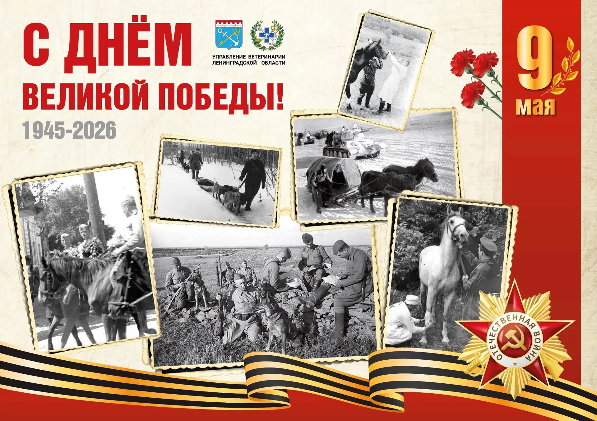 Дорогие друзья! 🇷🇺