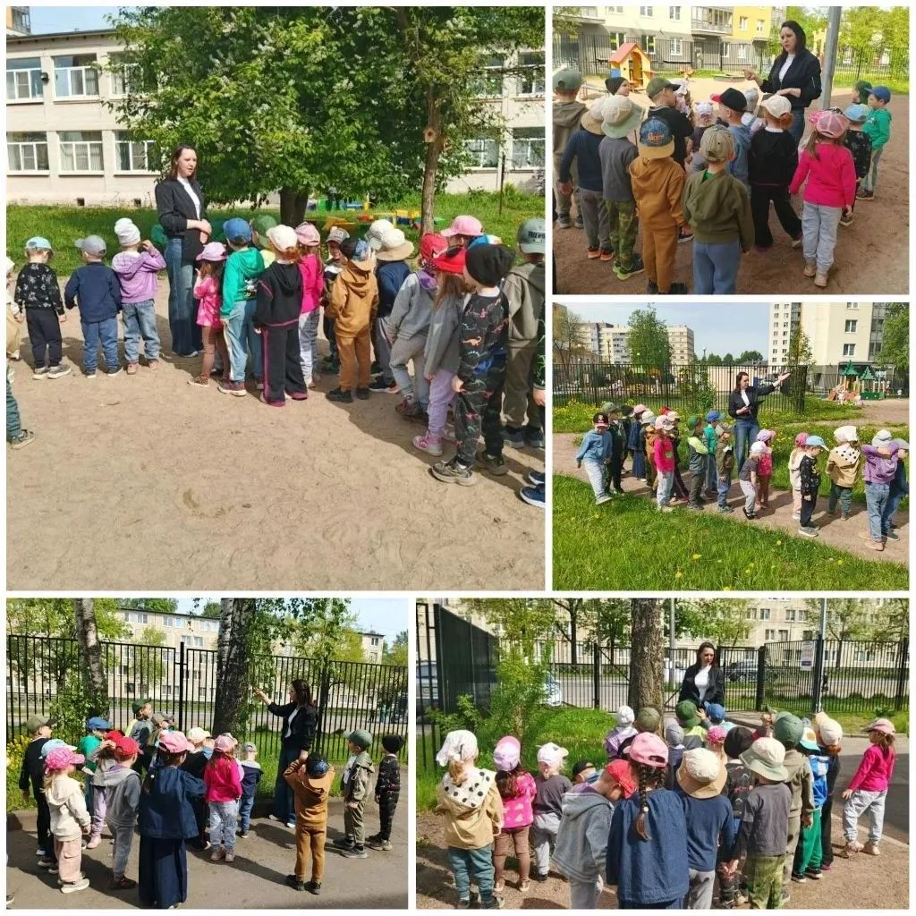 В рамках "Года дошкольного образования" — не просто прогулка, а целое путешествие!