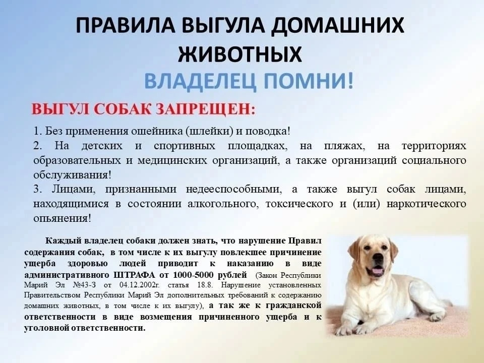 ❗❗❗ВНИМАНИЕ ❗❗❗
📢Уважаемые жители Ежовского сельского поселения!📢
⚠⚠⚠В последнее время участились 