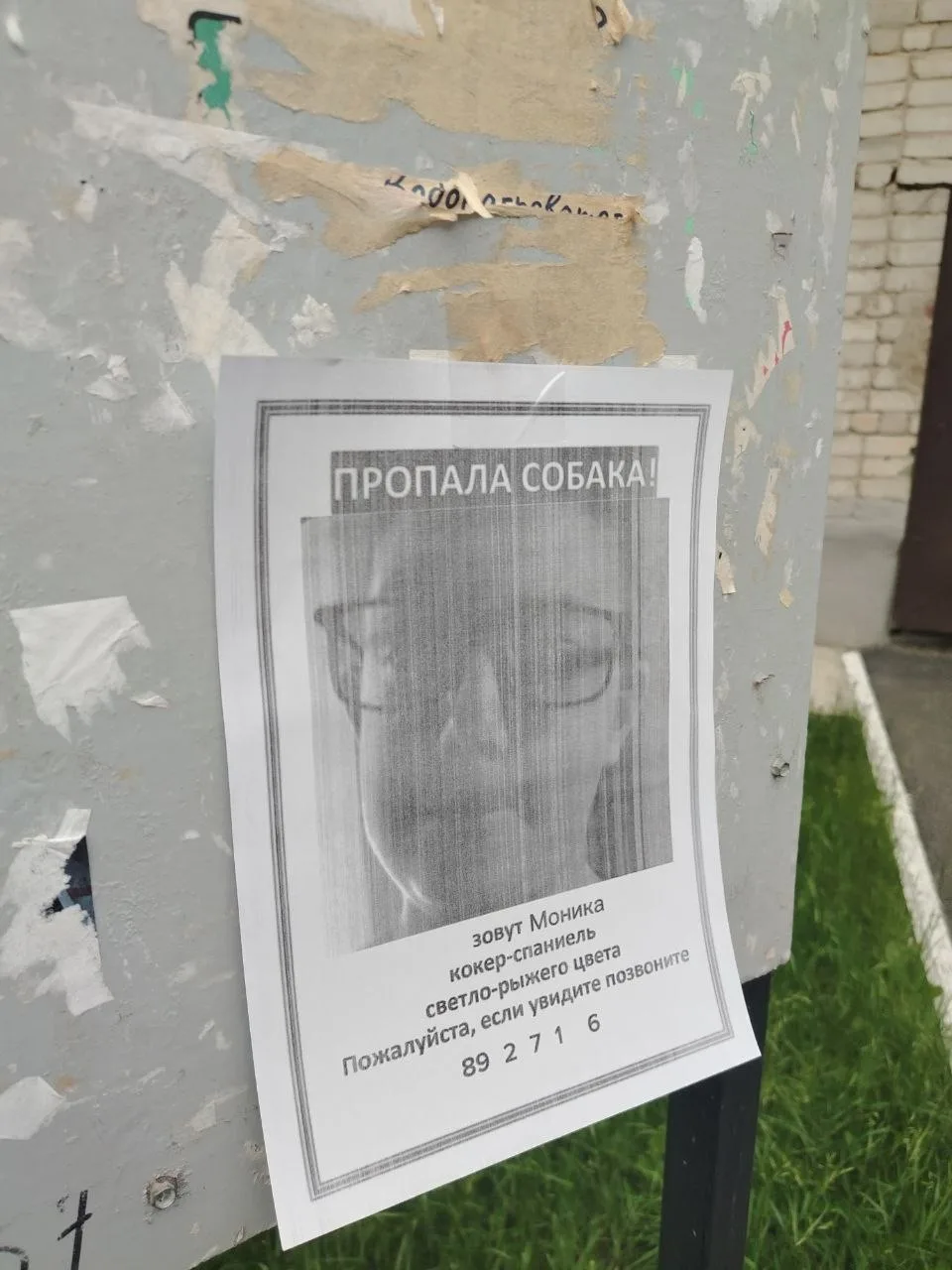 Зарека без коментариев🤬