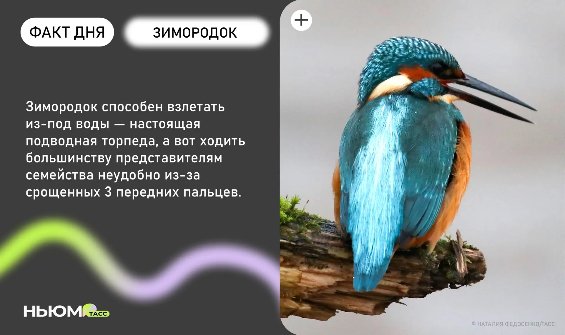 Знали?