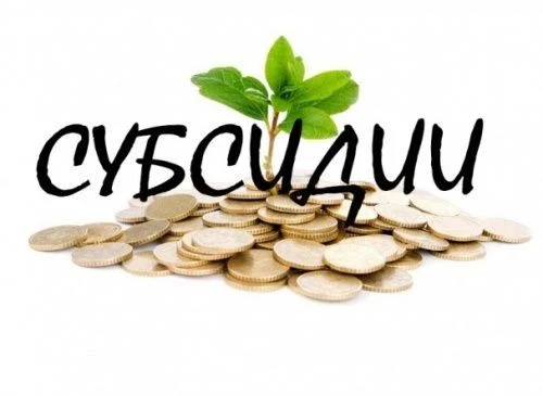 Продолжается прием документов на субсидии КФХ и сельхозкооперативам