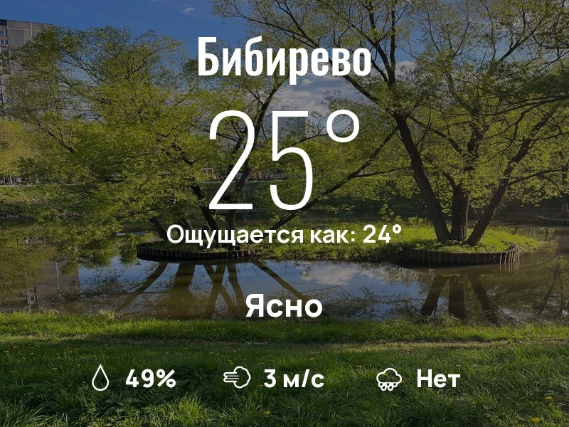 Что с погодой в Бибирево?