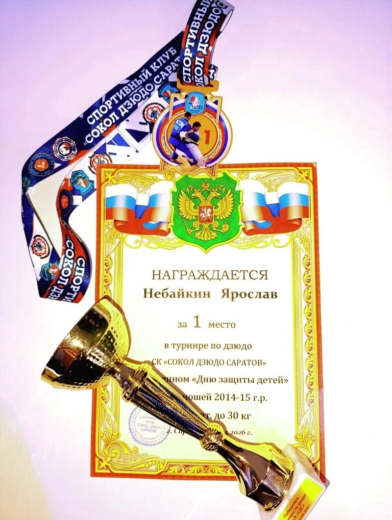 31 мая в Саратове состоялся турнир по дзюдо СК «Сокол Дзюдо Саратов», посвящённый Дню з...