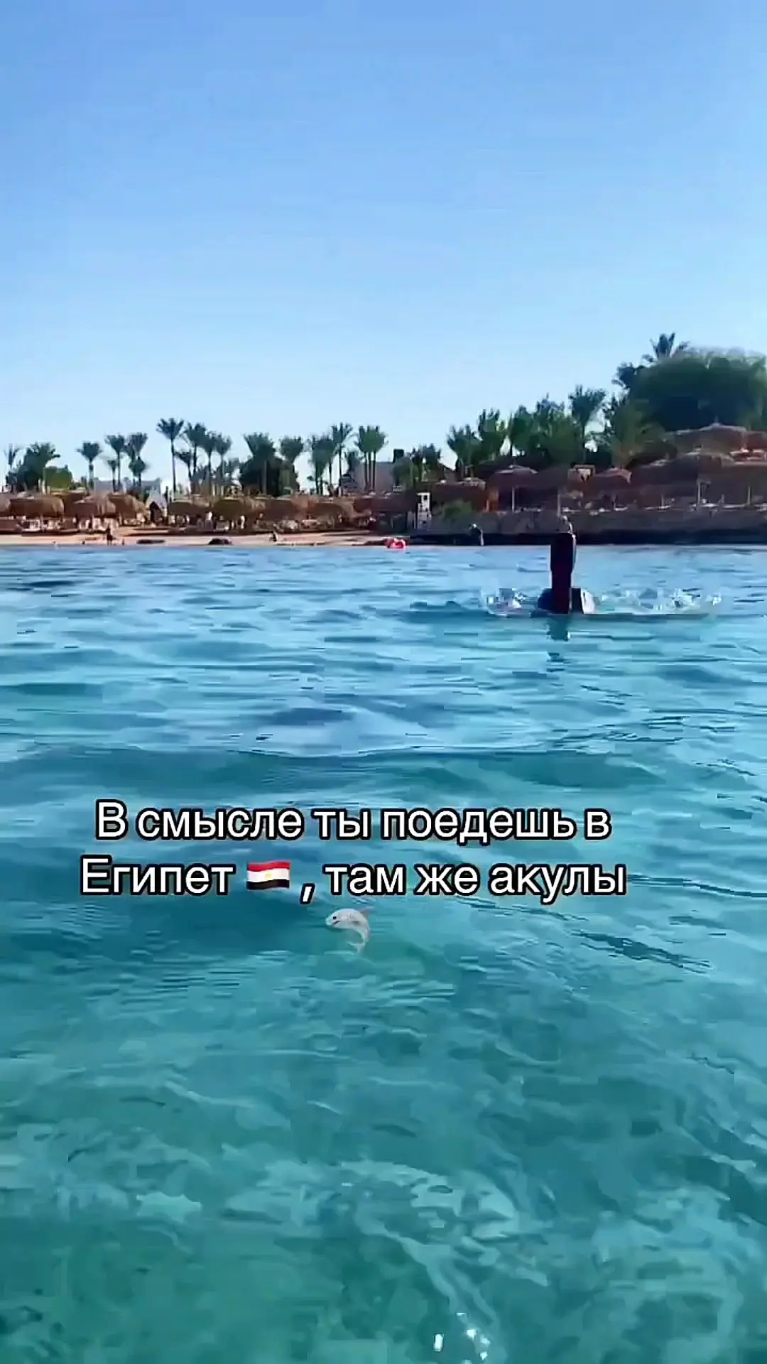 Видео: https://vk.ru/clip-59717399_456240937