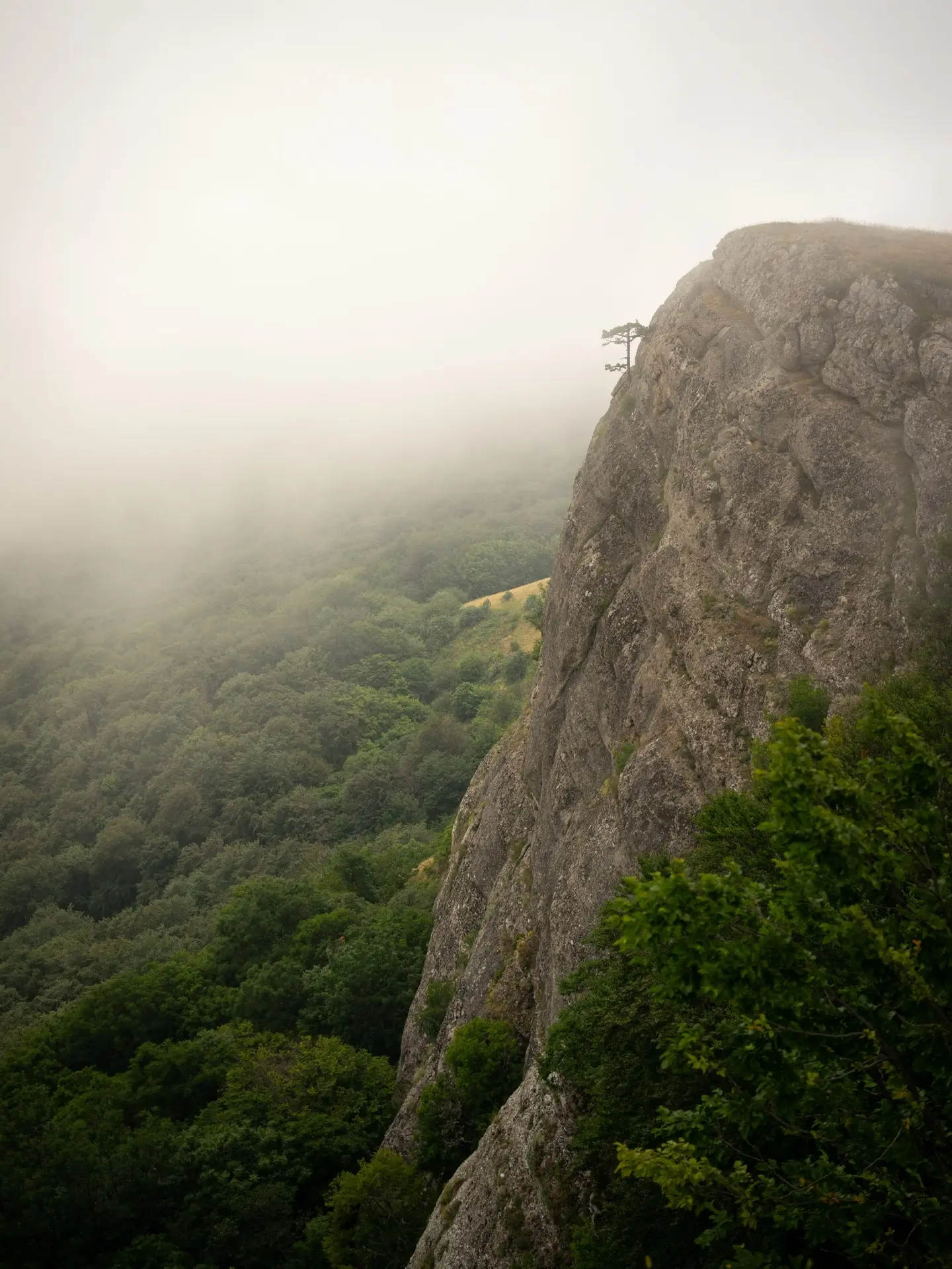 ⛰️ Когда мы выезжали из Симферополя, мы были на 1000000% уверены, что обгорим на горе и...