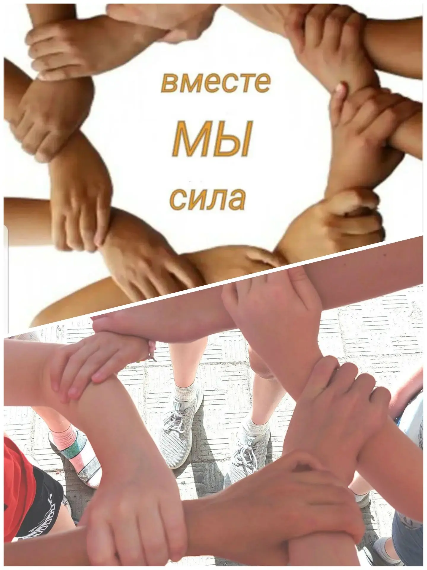 🎉📸 Результаты нашего фотокросса "Вместе мы - сила!"🌟

Дети разделились на 3 команды и с азартом и