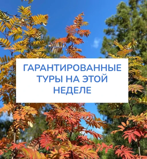 ✅ Гарантированные туры