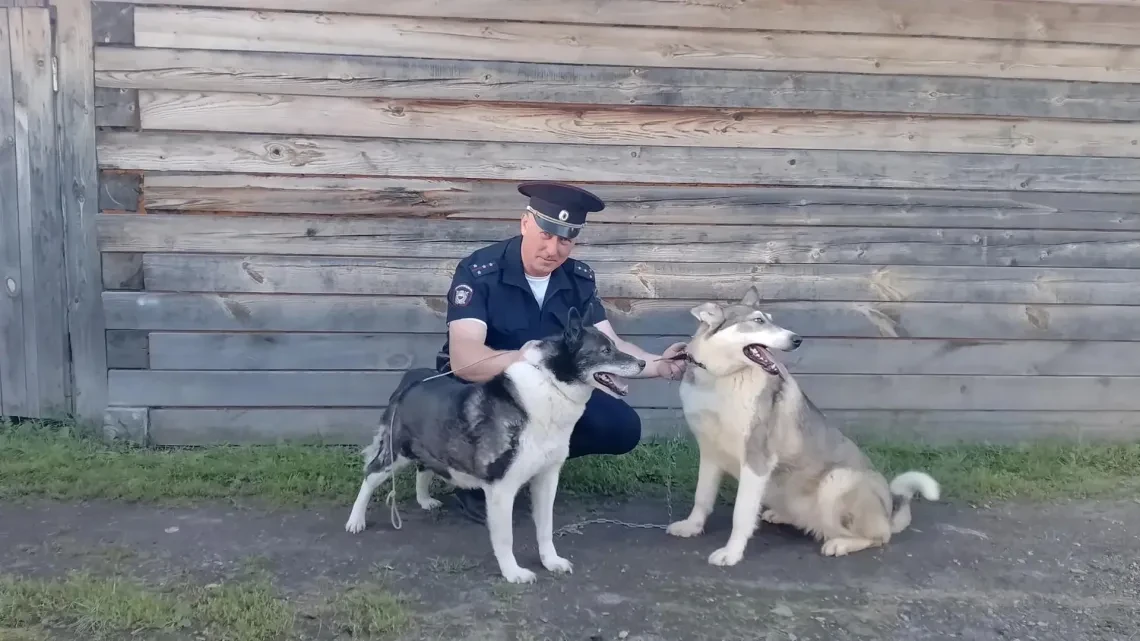 Полицейский из Зырянского района спас двух собак, провалившихся в погреб